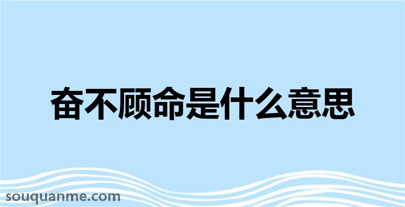 奋不顾命是什么意思 奋不顾命的拼音 奋不顾命的成语解释